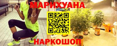 крисы Лесосибирск